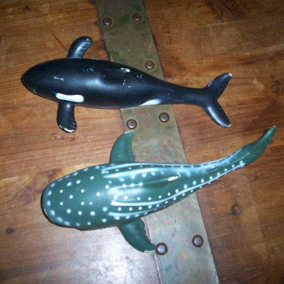 Killer Whale Whale Shark TOYI Black Orca Toy Figure Fish Ocean Sea Marine Life 8 - Picture 2 of 8